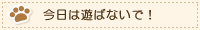 今日は遊ばないで！