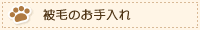 被毛のお手入れ